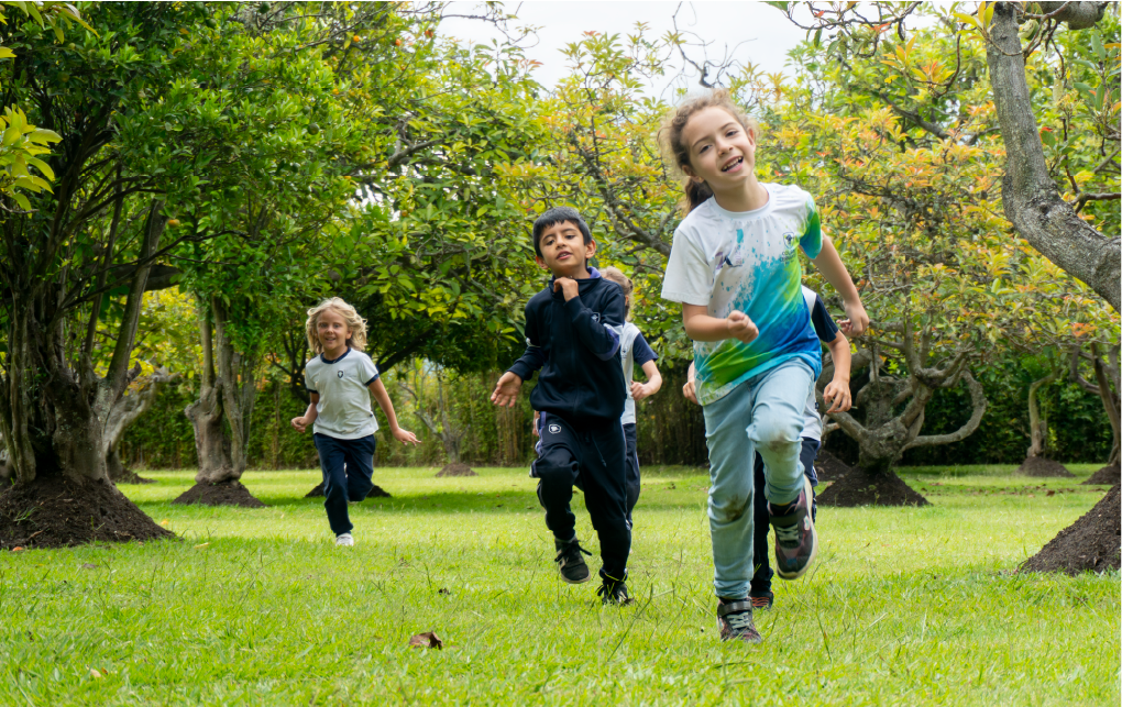 Bullying en Ecuador: Causas y la educación para el alma